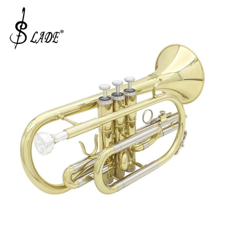 Brass |   LADE Professional Bb Flat Cornet Brass Instrument with Carrying Case Gloves Cleaning Cloth Brushes Gold Brass Brass