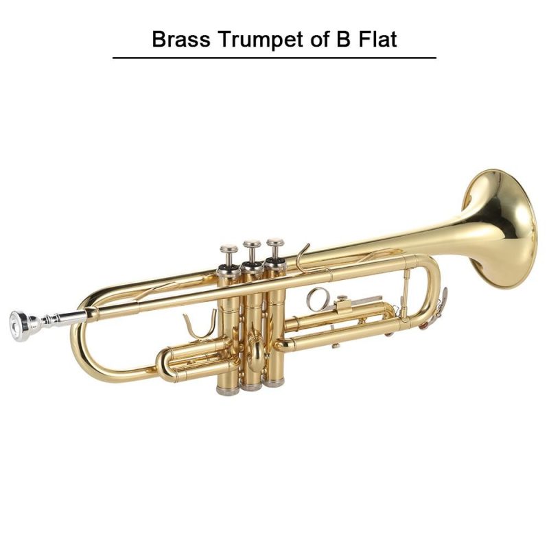 Brass |   Trumpet Bb Flat Brass Gold-painted Exquisite Durable Musical Instrument Brass Brass