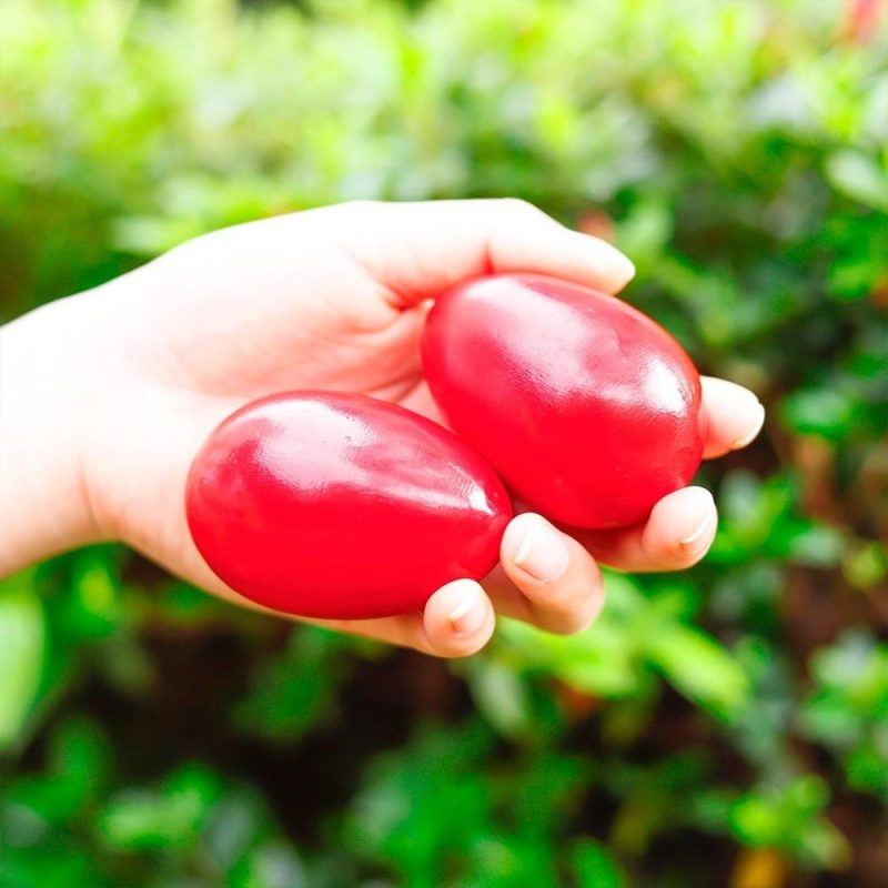 Drums & Percussion |   Wooden Maracas Egg Shakers Musical Percussion Instrument Eggs 2pcs Red Drums & Percussion Drums & Percussion