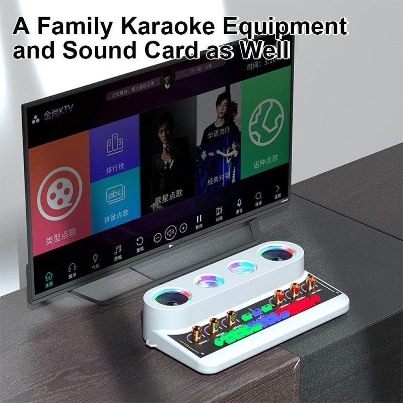 Pro Audio Equipment |   S20 Sound Card & Audio Podcast Equipment Portable Karaoke Machine Black Musical Instruments Black