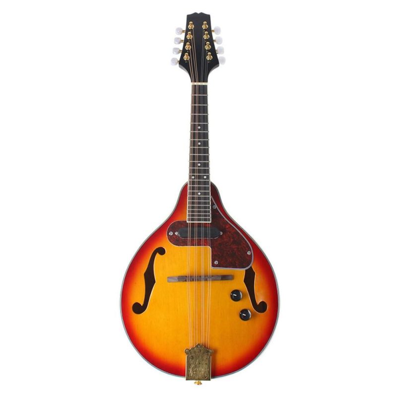 Strings and Accessories |   Adjustable 8-String Electric A Style Mandolin with Cable Strings Cleaning Cloth Multicolour Musical Instruments Multicolour