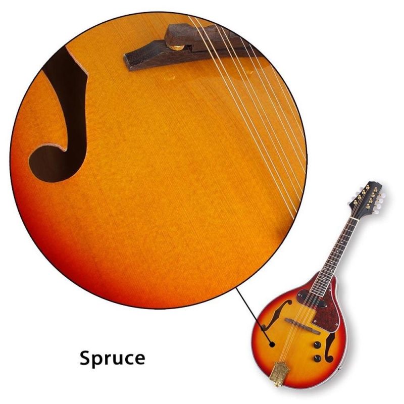 Strings and Accessories |   Adjustable 8-String Electric A Style Mandolin with Cable Strings Cleaning Cloth Multicolour Musical Instruments Multicolour