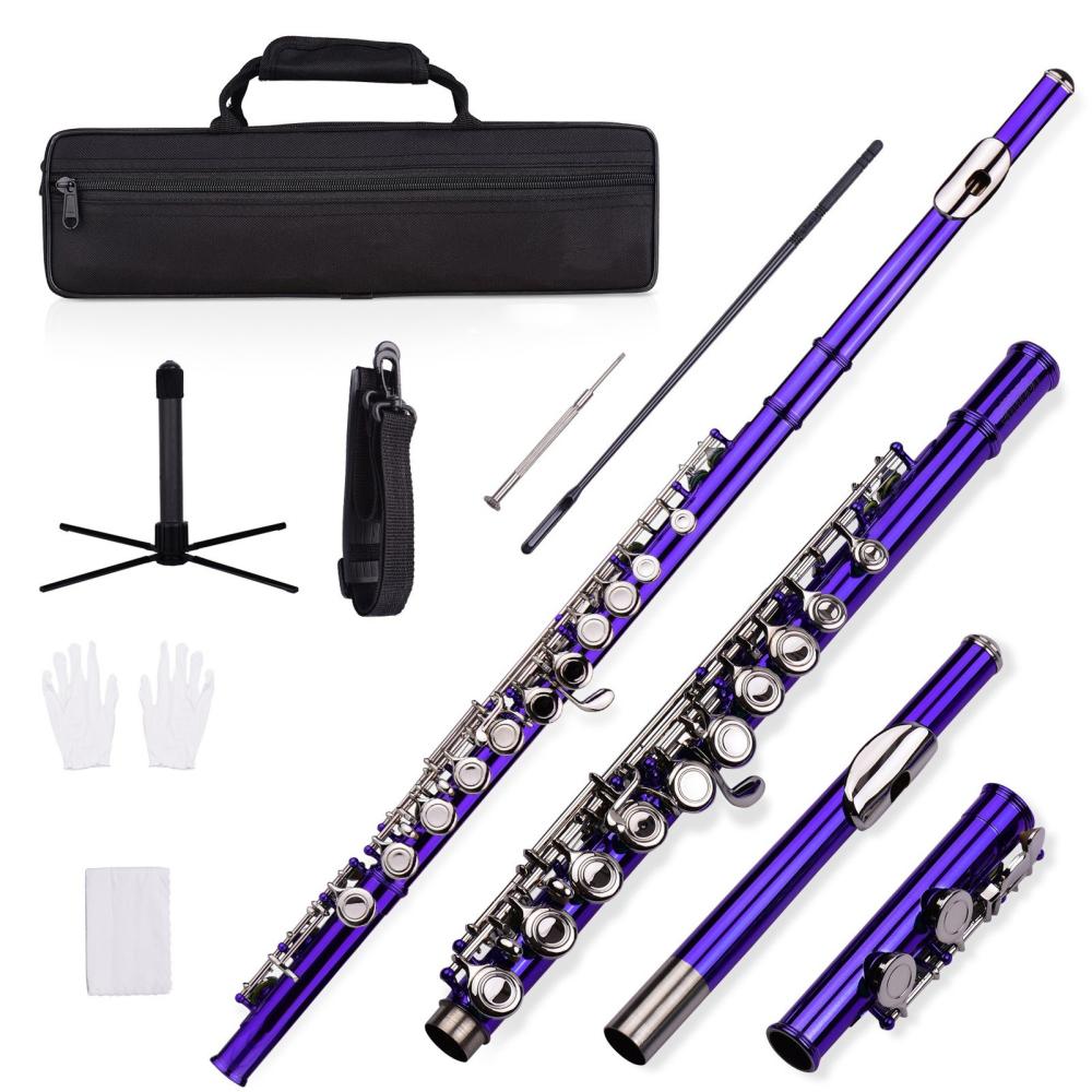 Woodwinds |   Closed Hole C Flute 16 Keys Cupronickel Nickel-plated Wind Instrument Purple Musical Instruments Purple