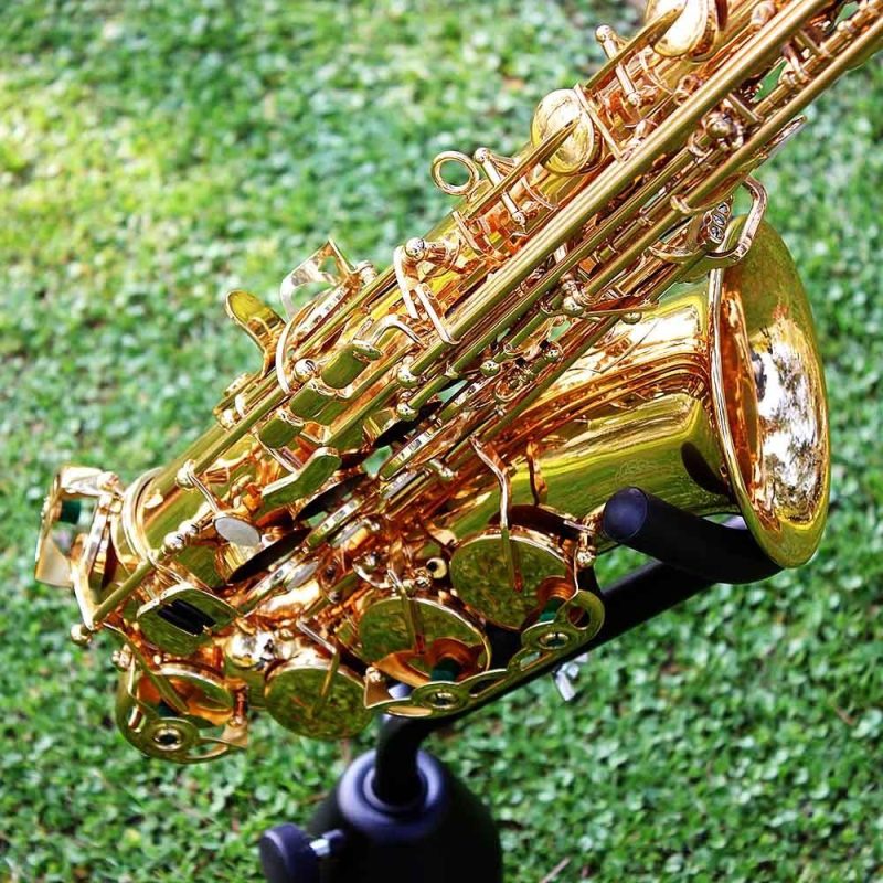 Woodwinds |   Deluxe Eb Alto Saxophone: Brass, Carved Pattern, Complete Set Golden Musical Instruments Golden