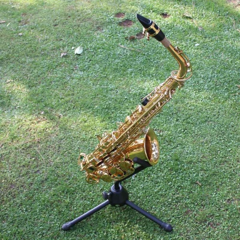 Woodwinds |   Deluxe Eb Alto Saxophone: Brass, Carved Pattern, Complete Set Golden Musical Instruments Golden