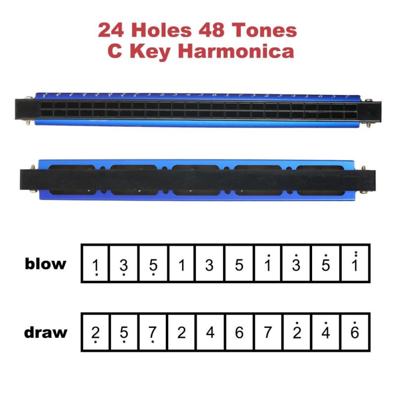 Woodwinds |   Harmonica Professional Harp Armonica Key of C 24 Hole Polyphony Diatonic Mouth Organ with Case Blue Musical Instruments Blue