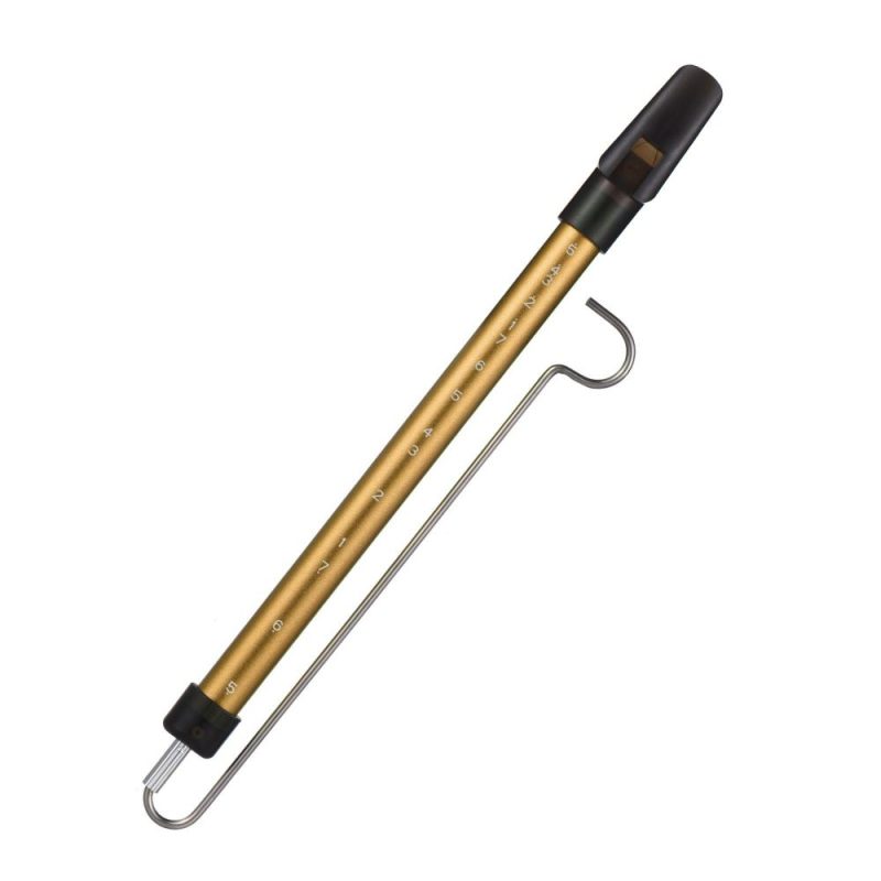 Woodwinds |   Metal Slide Whistle Scale Sliding Flute with Steel Sliding Rod Musical Instrument Toy for Children Kazoo Flute for Parent-Child Games Boys and Girls Party Favors School Prizes Gold Musical Instruments Gold